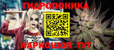 jwh Берёзовский