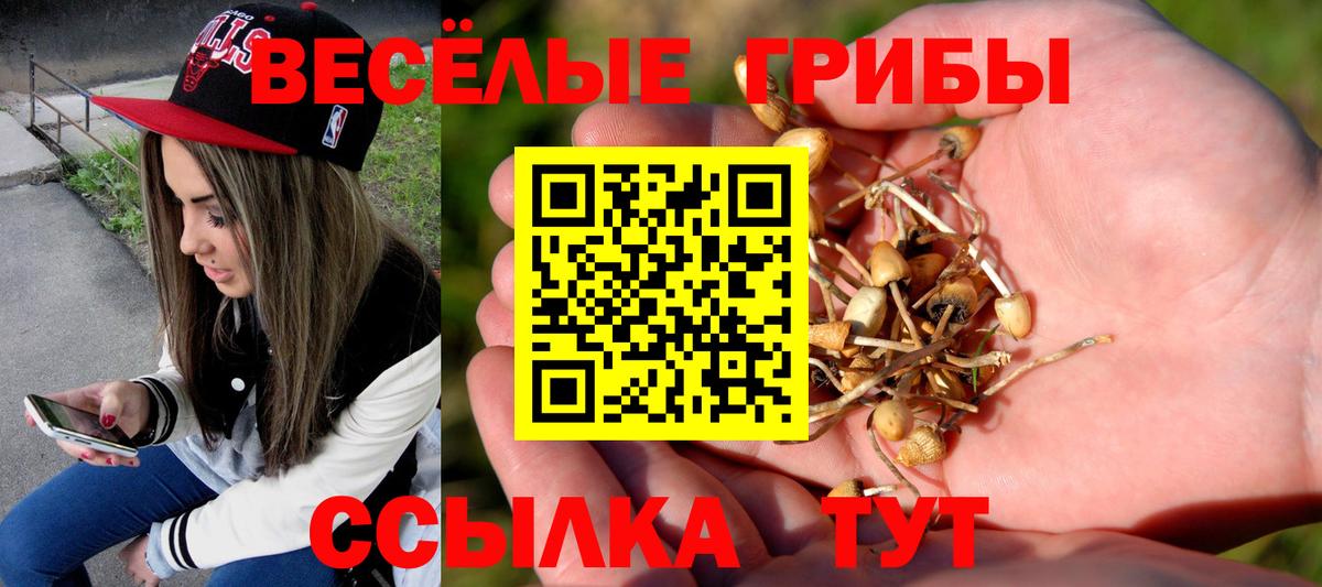 Галлюциногенные грибы Magic Shrooms  Псилоцибиновые грибы ЛСД  Когалым  Вход с VPN 